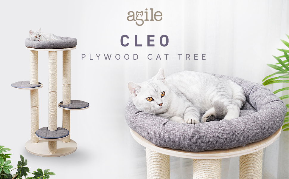 Cleo 40