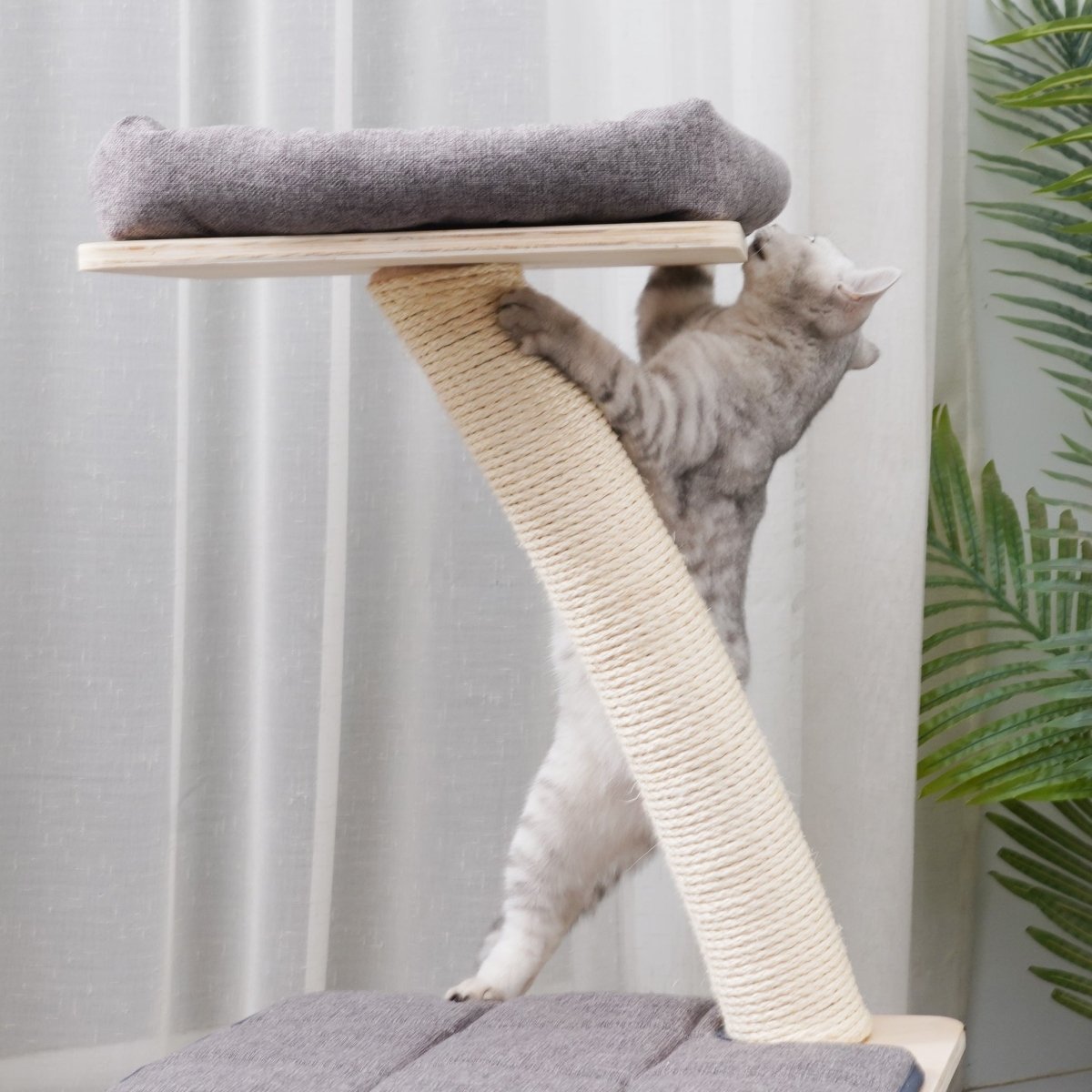 Apollo - Plywood Cat Tree - AGILE USA