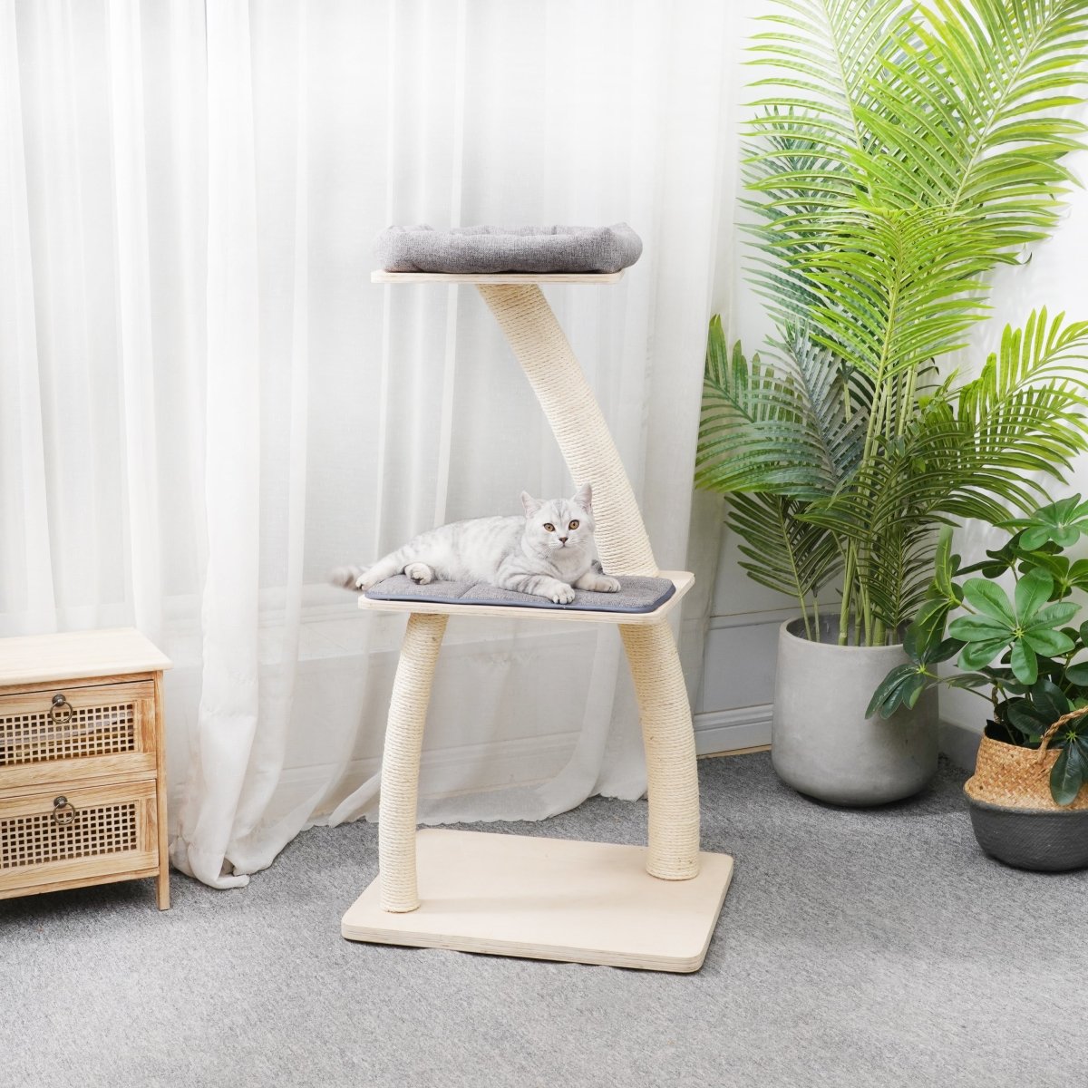 Apollo - Plywood Cat Tree - AGILE USA