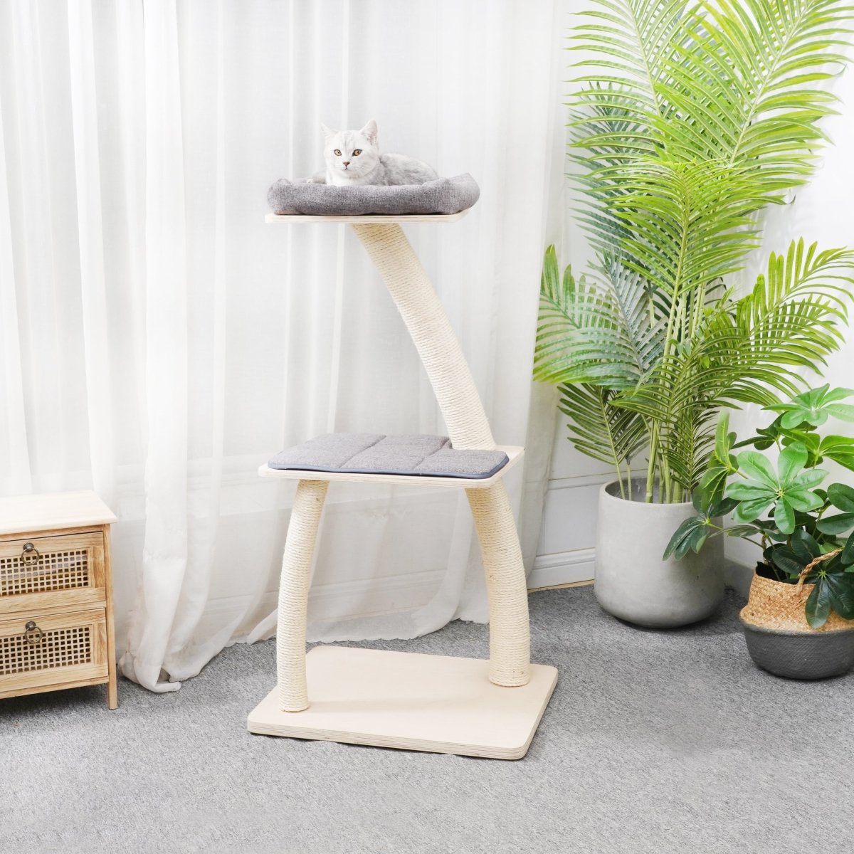 Apollo - Plywood Cat Tree - AGILE USA