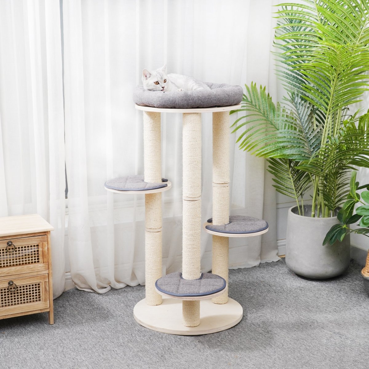 Cleo - Plywood Cat Tree - AGILE USA