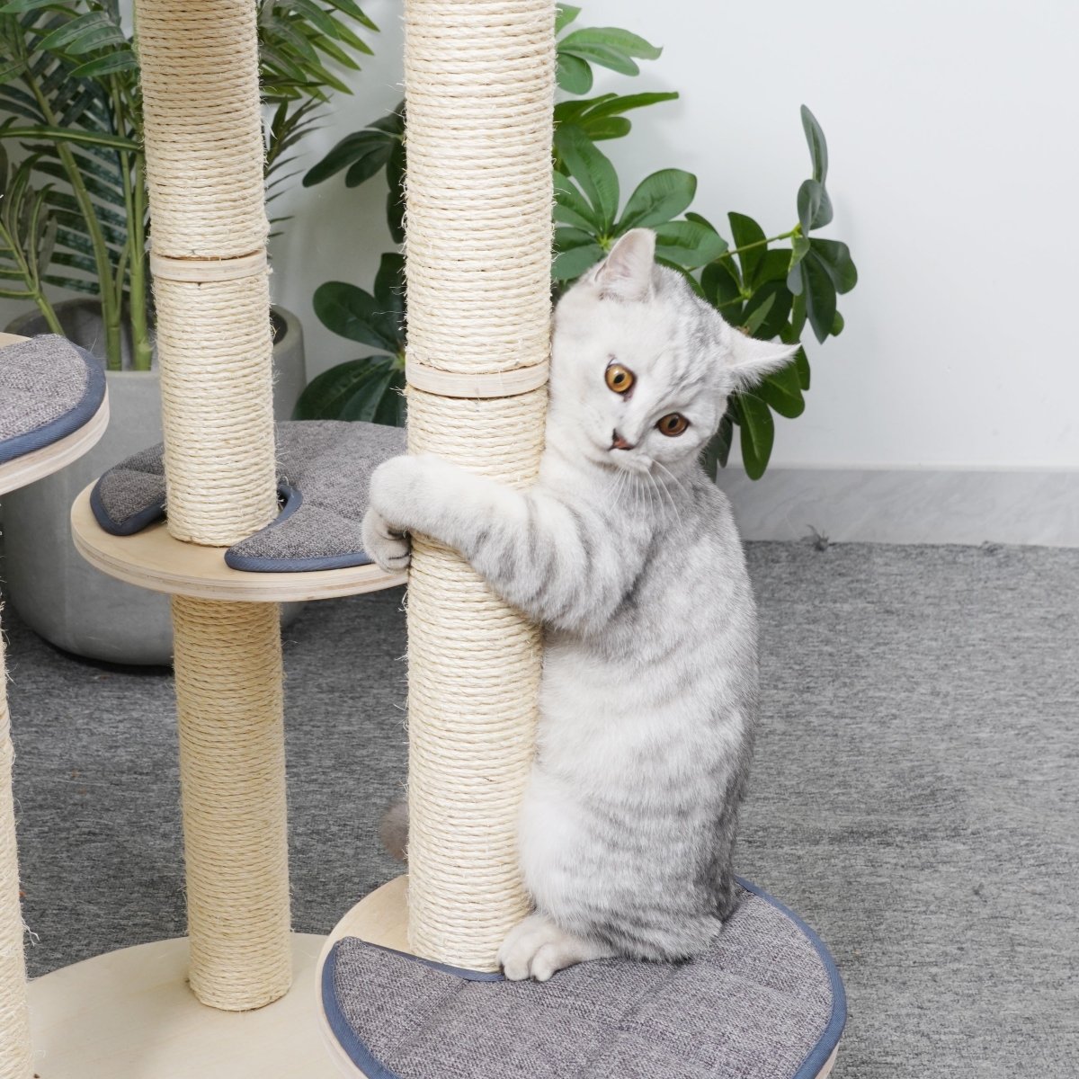 Cleo - Plywood Cat Tree - AGILE USA