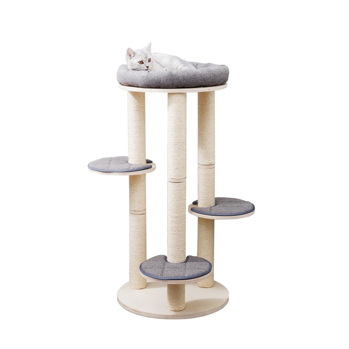 Cleo - Plywood Cat Tree - AGILE USA