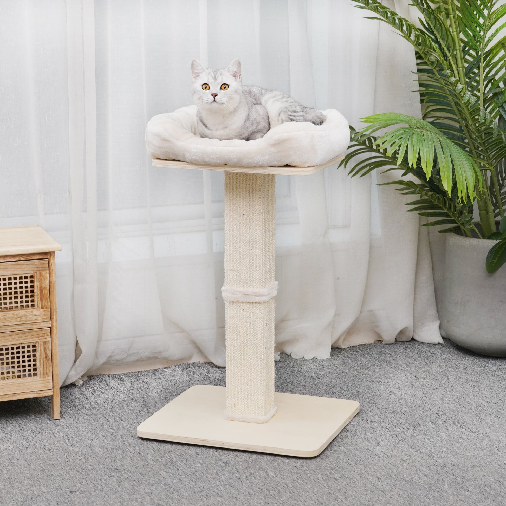 Jett - Plywood Cat Perch - AGILE USA