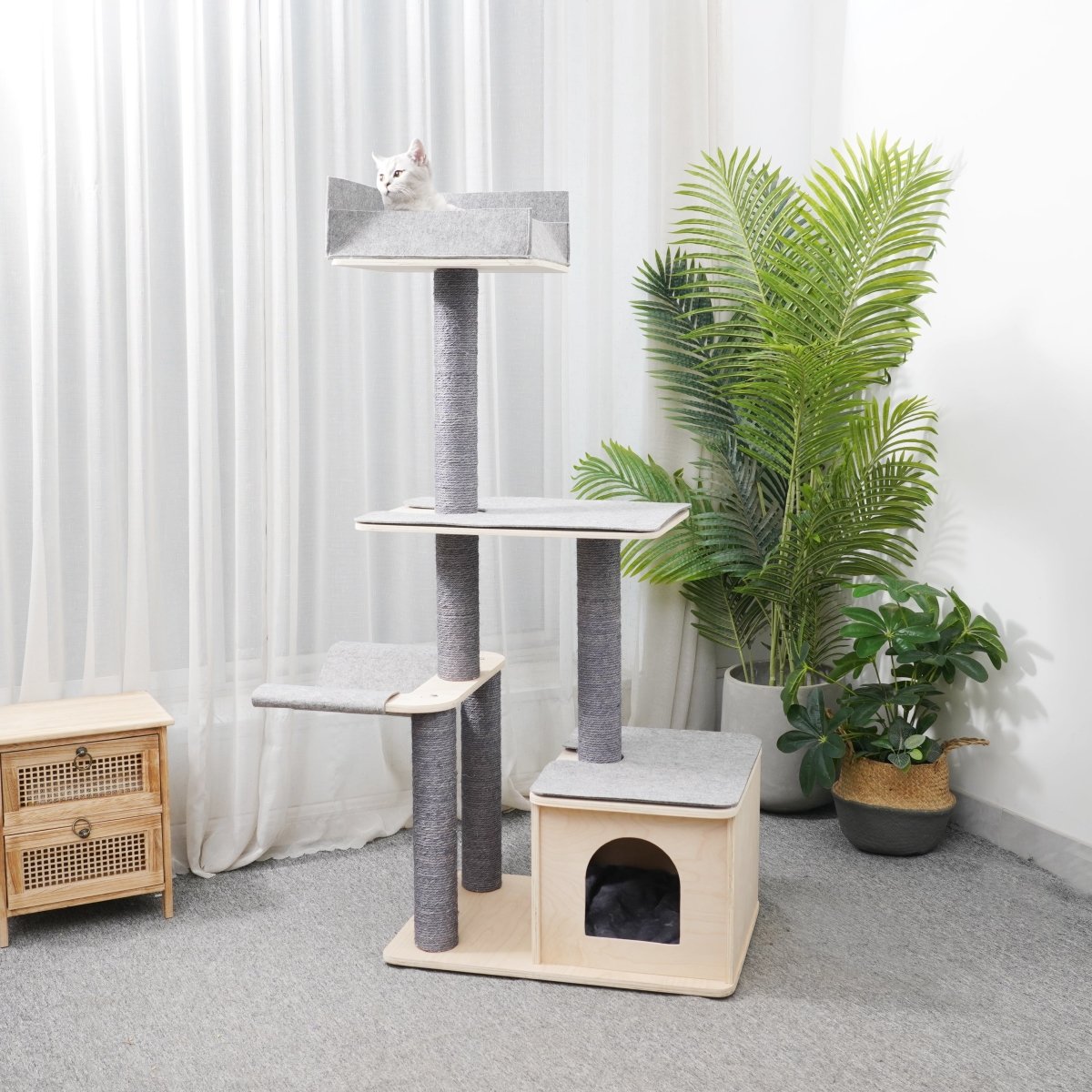 Loki - Plywood Cat Tree - AGILE USA