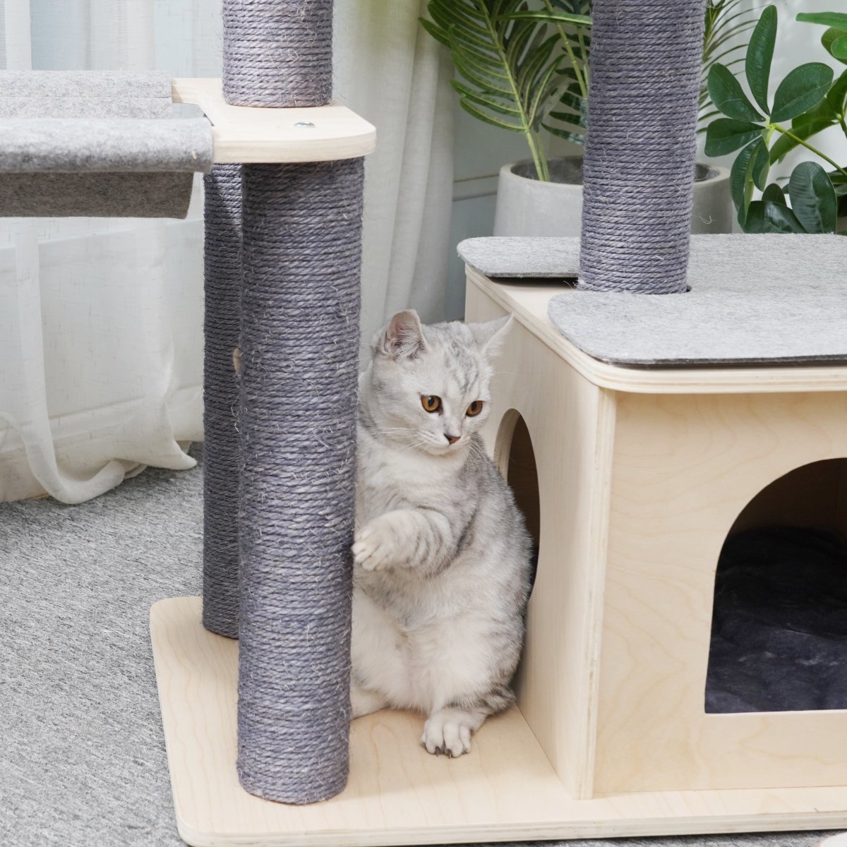 Loki - Plywood Cat Tree - AGILE USA