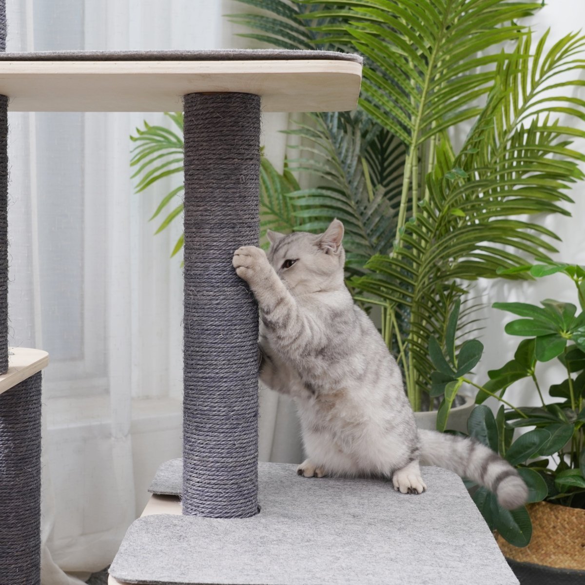 Loki - Plywood Cat Tree - AGILE USA