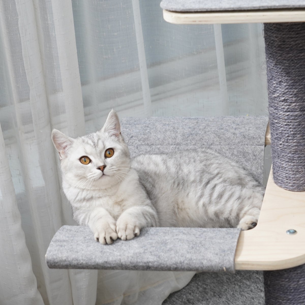 Loki - Plywood Cat Tree - AGILE USA