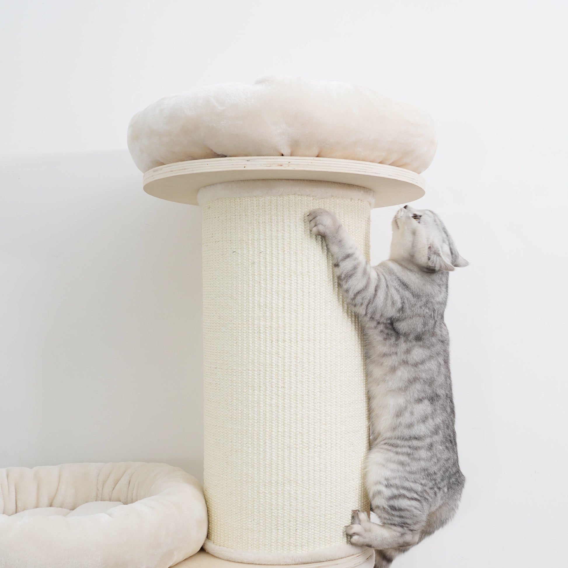 Oliver - Plywood Cat Tree - AGILE USA