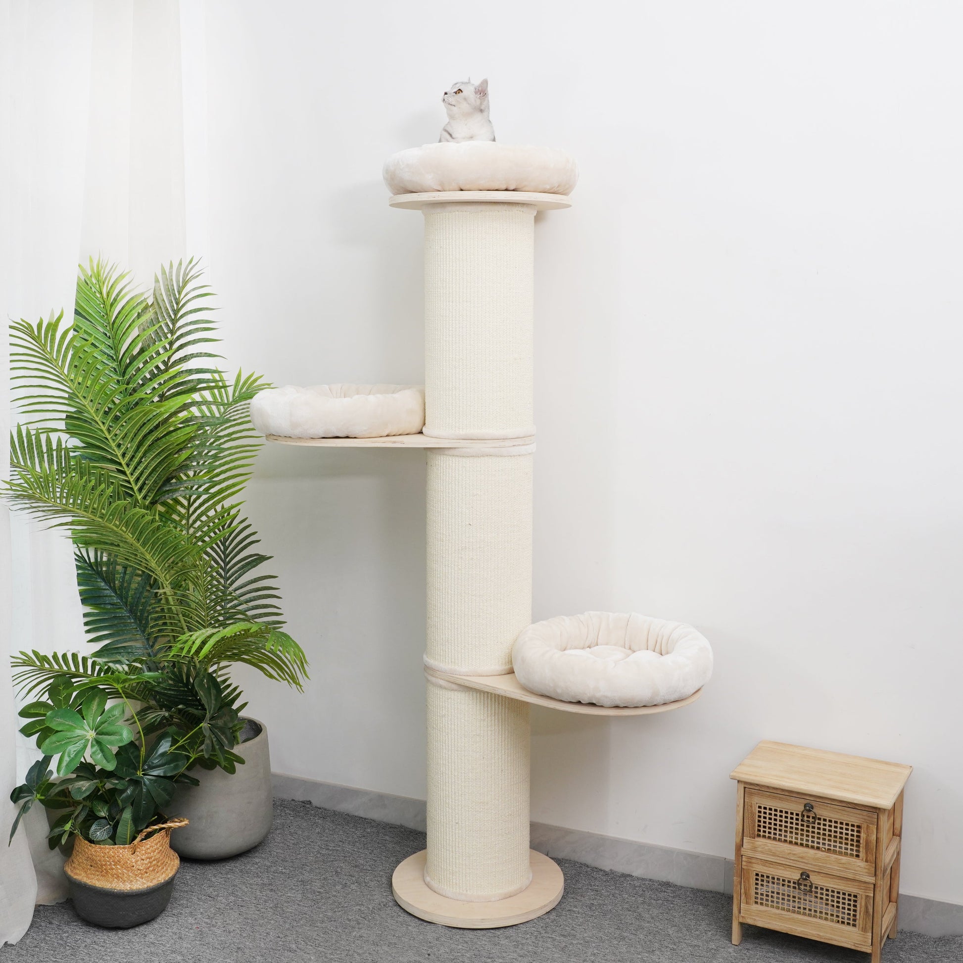 Oliver - Plywood Cat Tree - AGILE USA