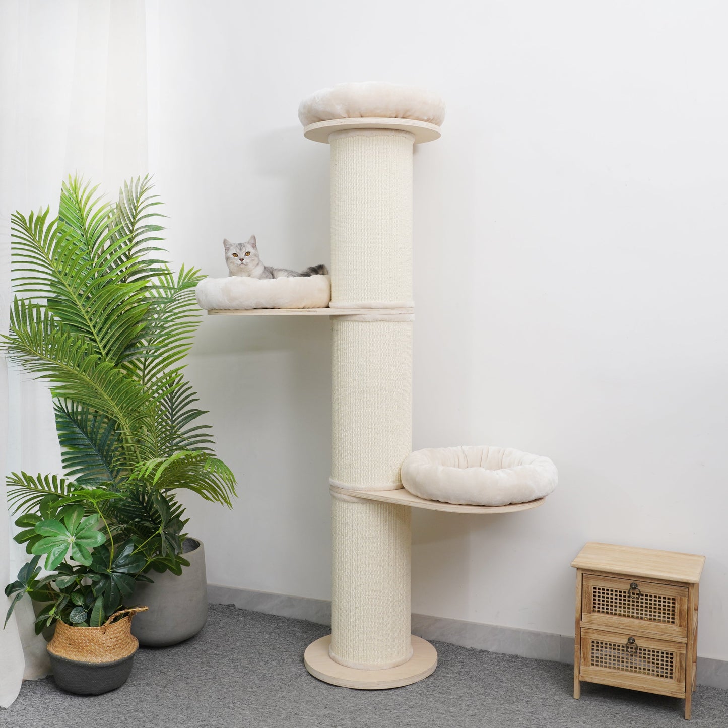 Oliver - Plywood Cat Tree - AGILE USA