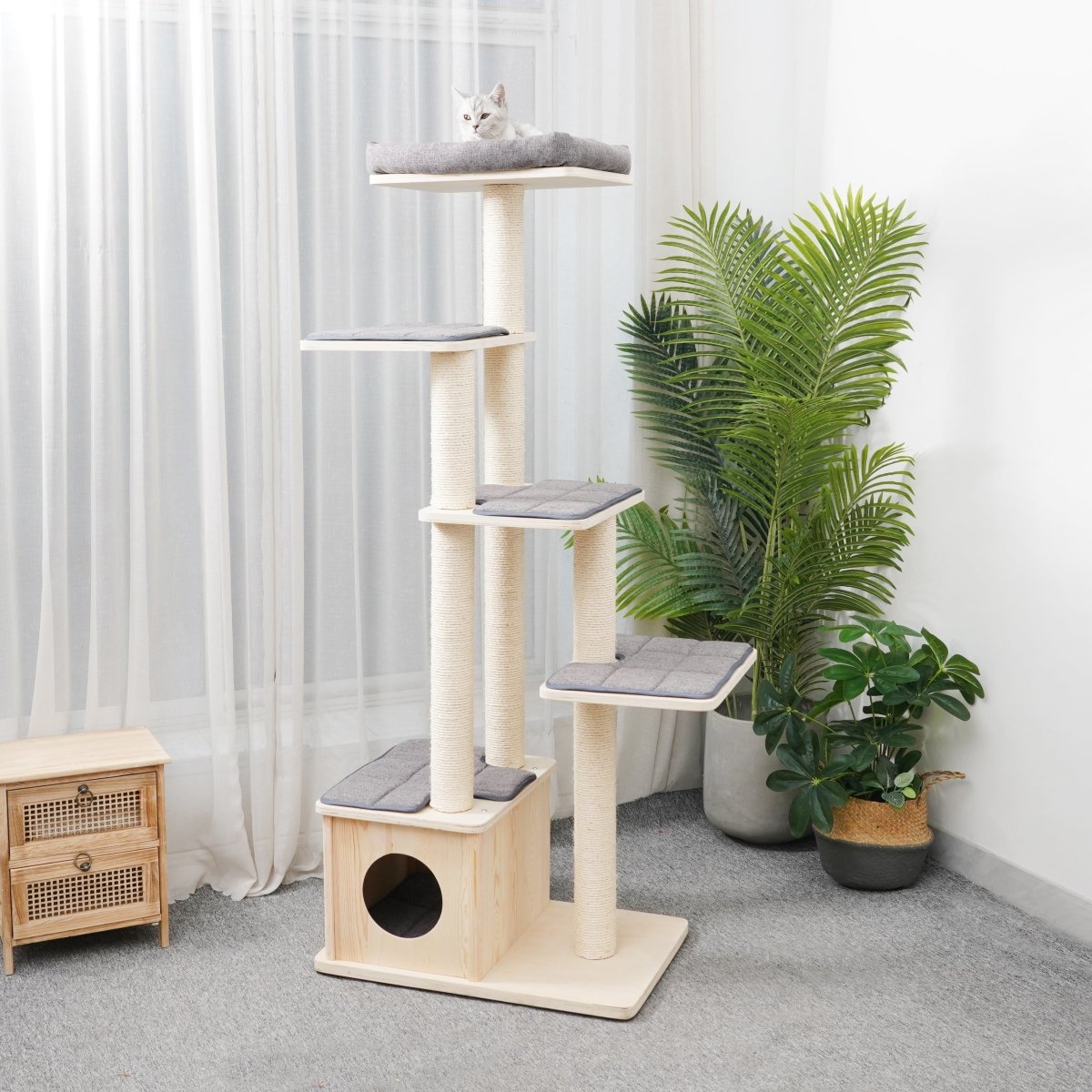 Oscar - Plywood Cat Tree - AGILE USA