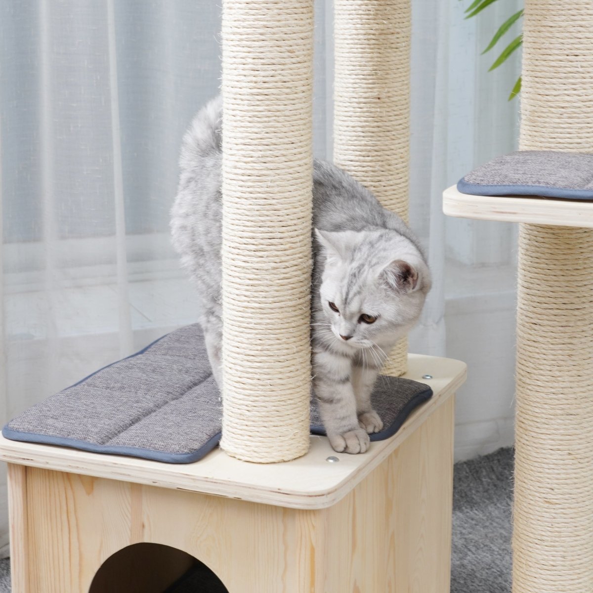 Oscar - Plywood Cat Tree - AGILE USA