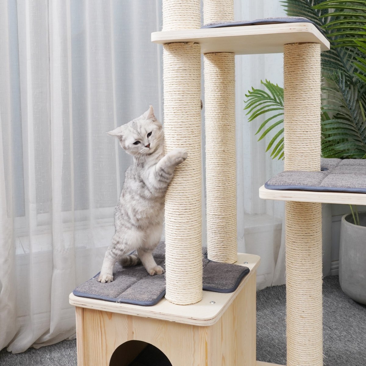 Oscar - Plywood Cat Tree - AGILE USA